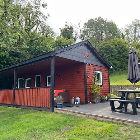 Kabin In The Woods Llandybie Exteriör bild