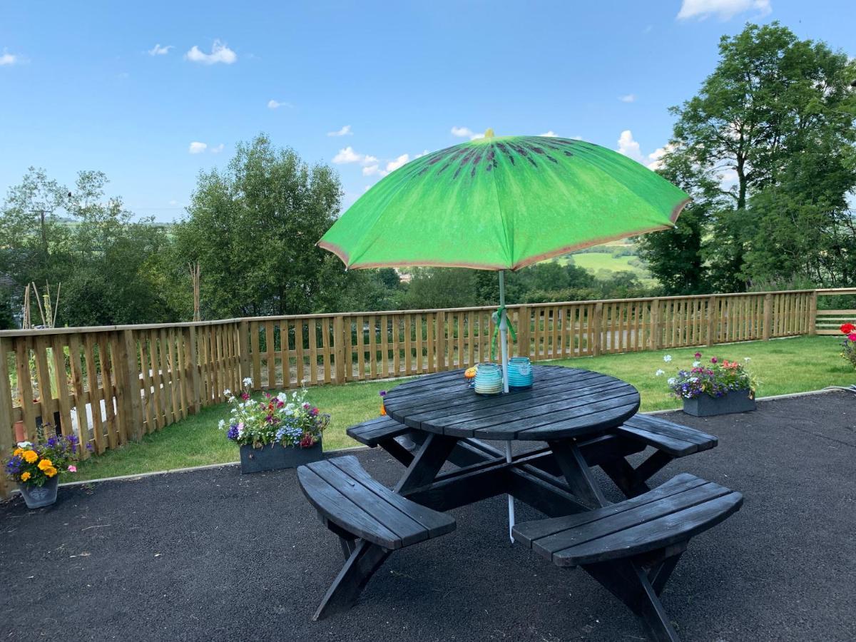 Kabin In The Woods Llandybie Exteriör bild
