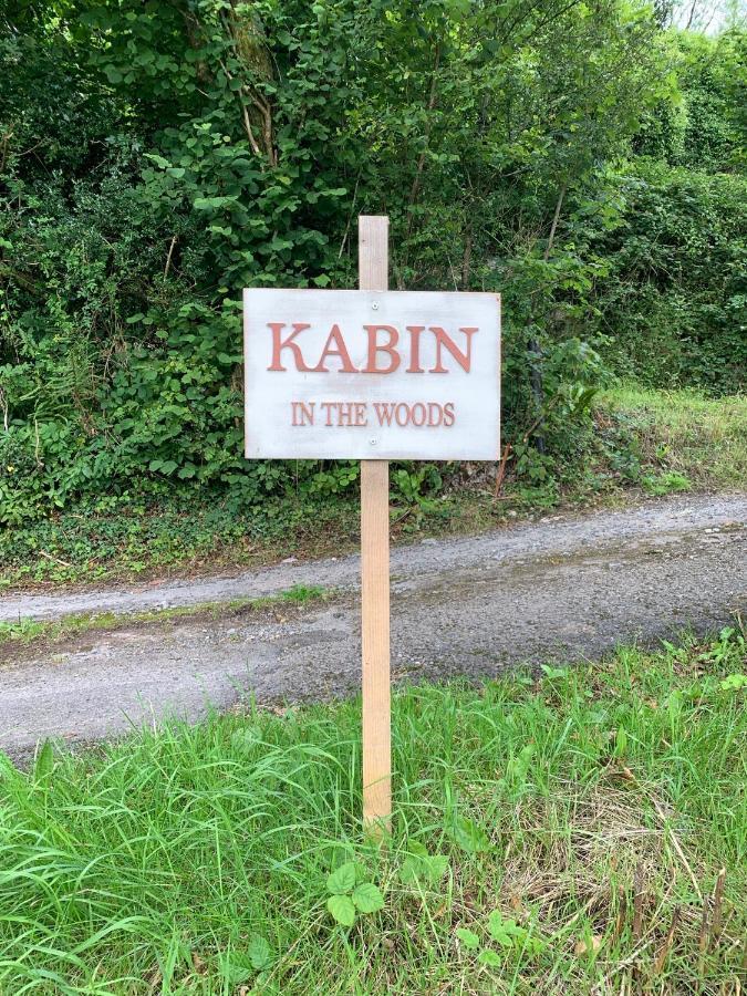 Kabin In The Woods Llandybie Exteriör bild