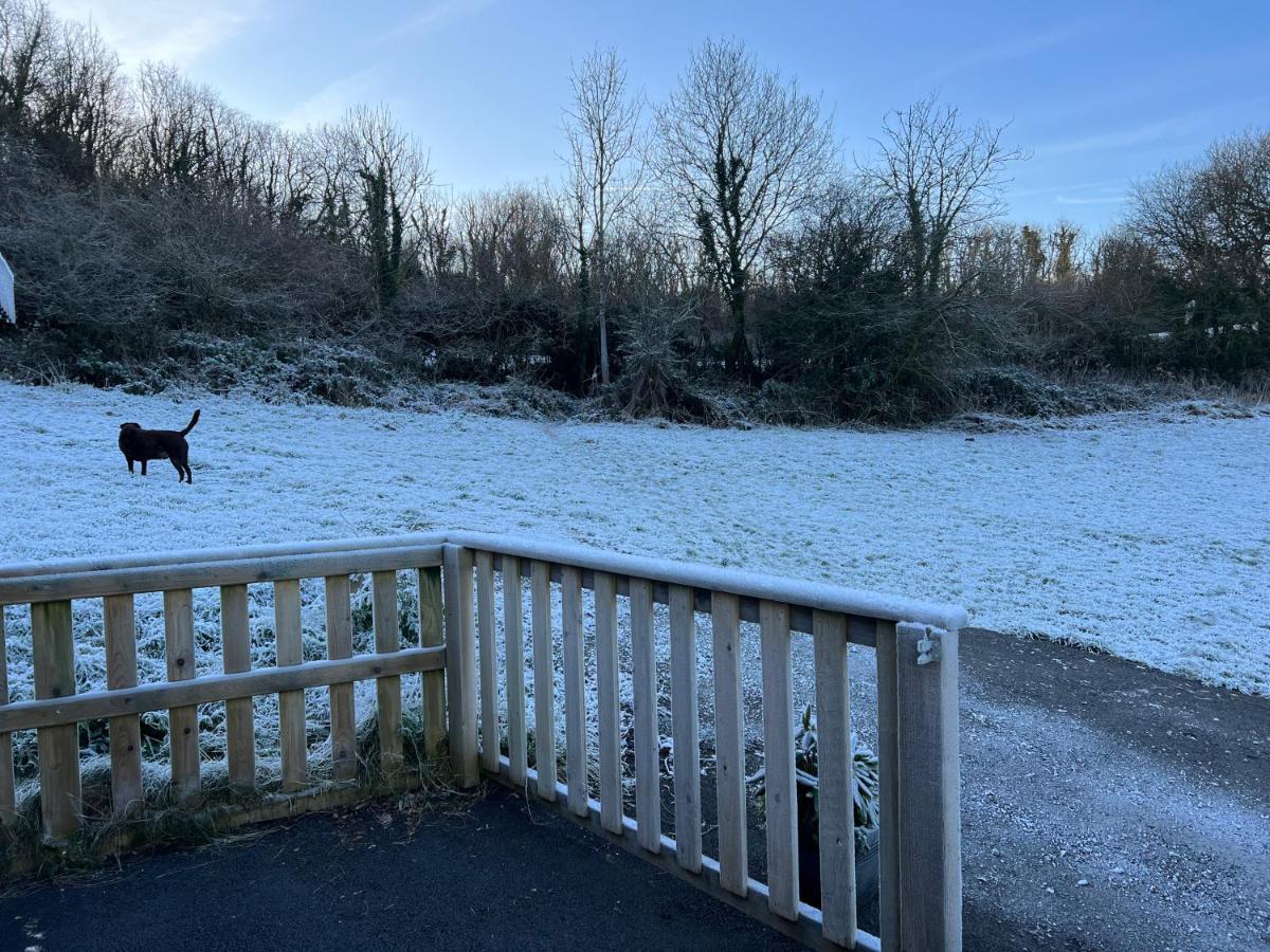 Kabin In The Woods Llandybie Exteriör bild