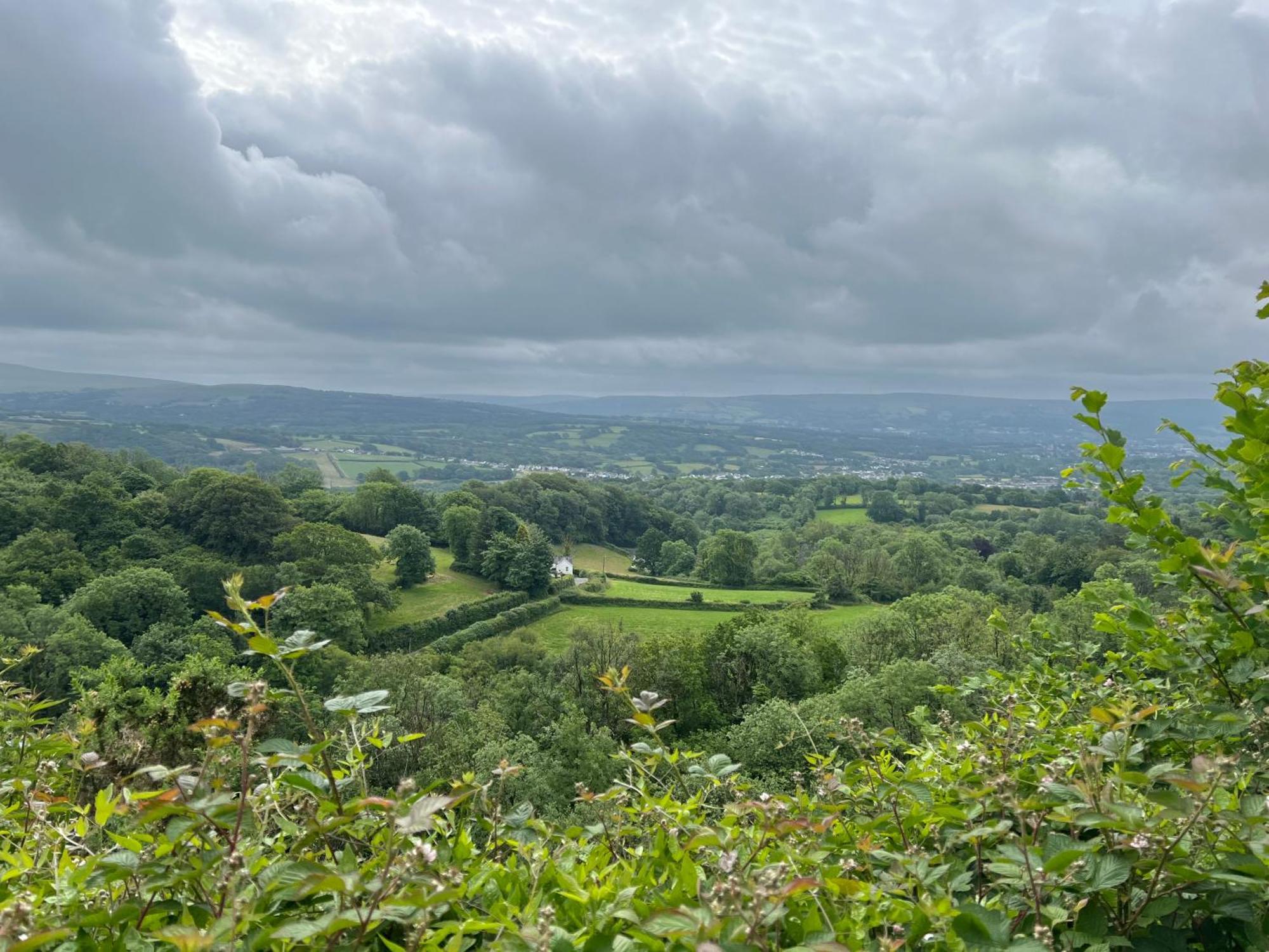 Kabin In The Woods Llandybie Exteriör bild